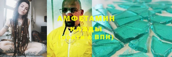 дмт Бородино