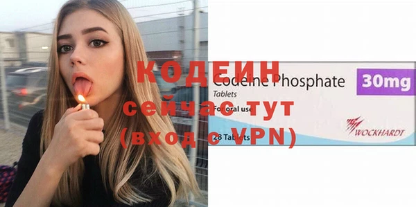 дмт Бородино