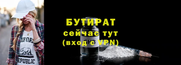 дмт Бородино