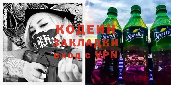дмт Бородино