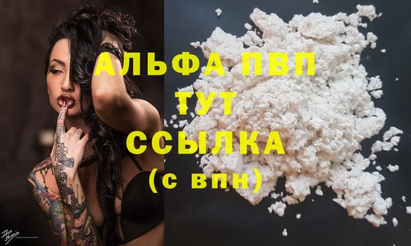 дмт Бородино