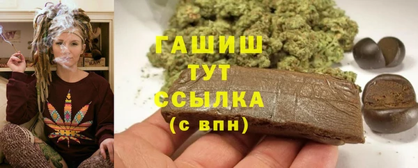 дмт Бородино