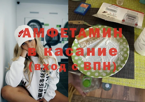 дмт Бородино