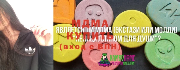 дмт Бородино