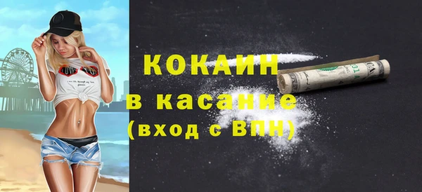 дмт Бородино
