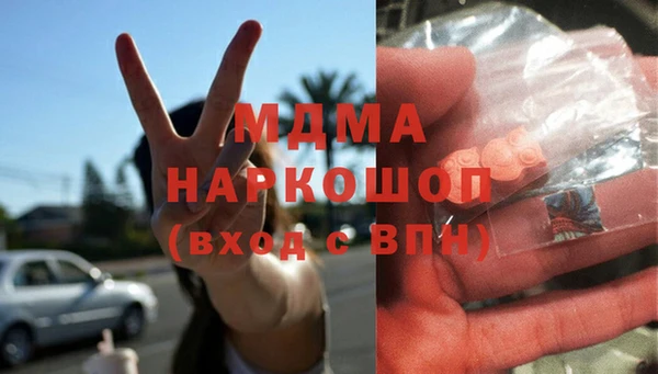 дмт Бородино