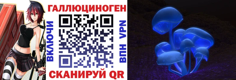 Галлюциногенные грибы Magic Shrooms  omg   Благовещенск 